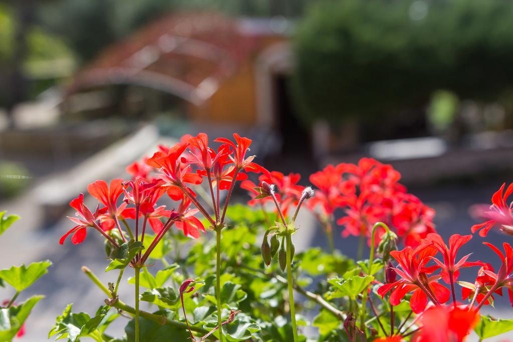 Apartment Agava Miholascica エクステリア 写真